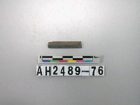 藏品(磨製石針)的圖片